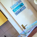 Stellar موستار