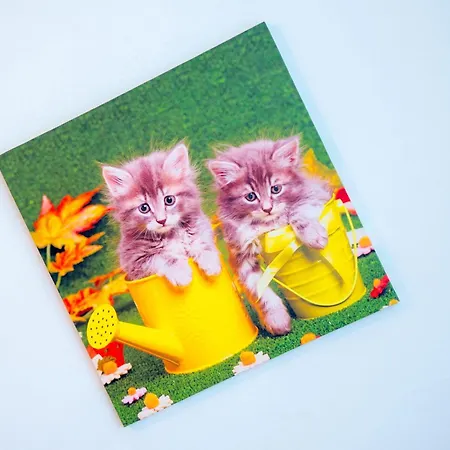 Stellar アパート モスタル