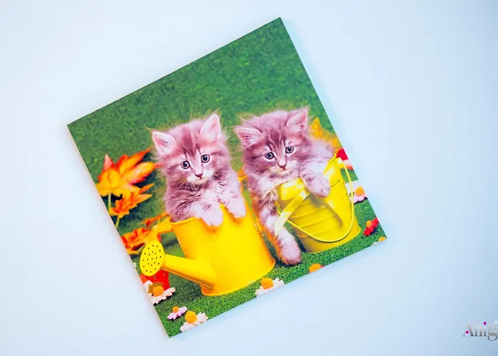 Stellar アパート モスタル