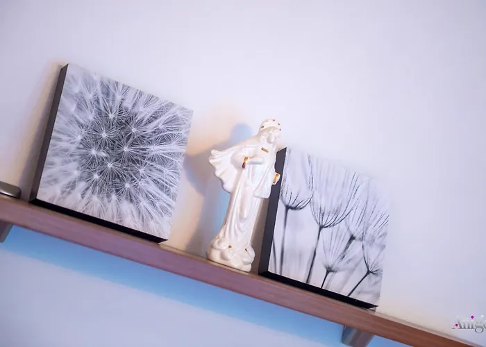 Stellar モスタル